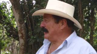 Se Vende un Caballo -- Vicente Fernández