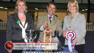 Highlights of UK Toy Dog Show & British breed features