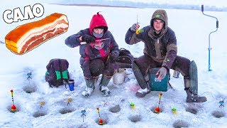 ОФИГЕТЬ!!! ПЛОТВА на САЛО!!! РЫБАЛКА на ПОПЛАВОК со ЛЬДА ЗИМОЙ