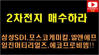 [주식] 2차전지 소재주 지금 당장 사라! 삼성SDI, 포스코케미칼, 엘앤에프, 일진머티리얼즈,에코프로비엠,