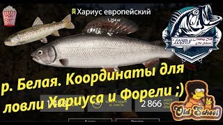 Русская Рыбалка 4. р. Белая. Координаты для ловли Хариуса и Форели