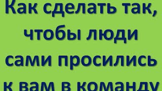 Как сделать так, чтобы люди  сами просились к вам в команду