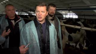 Ляшко зустрівся із найкращими коровами на світі