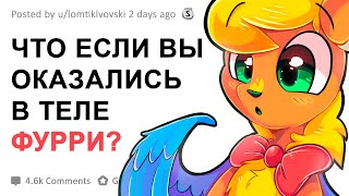 ЧТО ЕСЛИ ВЫ ОКАЗАЛИСЬ В ТЕЛЕ ФУРРИ?