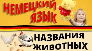Немецкий с нуля для детей животные / Tiere. #НемецкийЯзык #ОксанаВасильева