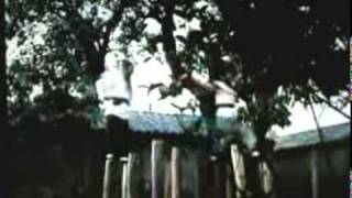 Pедкий и старый фильм про Багуа Чжан