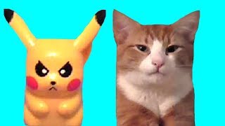 ПИКАЧУ И КОТ. ПРАНКИ НАД КОТАМИ видео для детей.