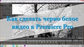 Как сделать черно белое видео в Premiere Pro