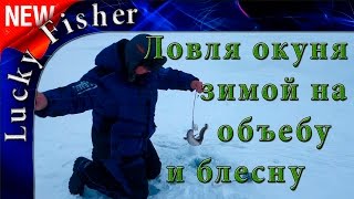 Ловля окуня зимой на блесну и объебу | Ловля налима на жерлицы.