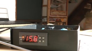 Régulateur de température pour couveuse incubateur ...etc