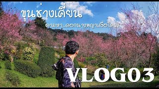 VLOG #03 ขุนช่างเคี่ยน ตามหา...ดอกนางพญาเสือโคร่ง #ซากุระเมืองไทย