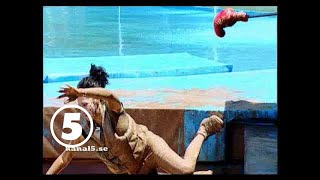 Wipeout - Nour El-Refai tycker det är "äckliiiiigt!"
