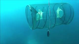 GO!UP Il gavitello autoaffondante per il recupero di nasse, reti ed attrezzature da pesca