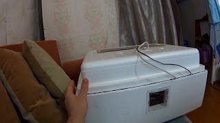 ОШИБКИ? ИНКУБАЦИИ?