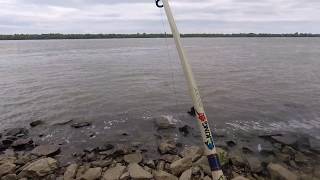 Catfish on cut Mullet in Mississippi River