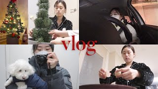 요즘 주말 일상 VLOG???? ( 크리스마스 기념 트리 만들기????,운전연습????,미니 쇼핑하울????,집순이의 하루 ) 2020년 마지막 브이로그 | 웨이채널 way channel