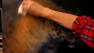 how i use liquin