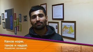 Откуда пошло выражение "Как аукнется, так и откликнется"?