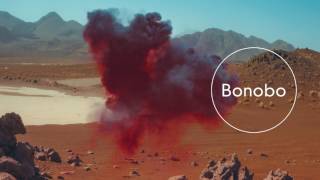 Bonobo : Samurai
