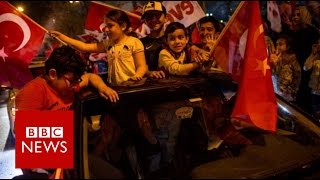 Turkey referendum: Erdogan wins vote to expand presidential powers - BBC News