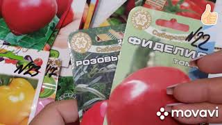 Обзор лучших семян томатов /Мой выбор на 2020 год