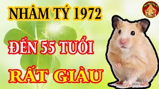 Tiết Lộ Chấn Động Tử Vi Tuổi Nhâm Tý 1972 Giàu Có Phát Tài Tiền Tiêu 3 Đời Không Hết