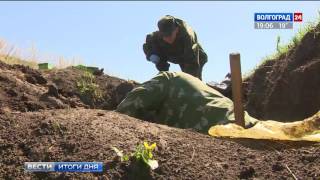 Волгоградские поисковики установили имена двух павших защитников Сталинграда