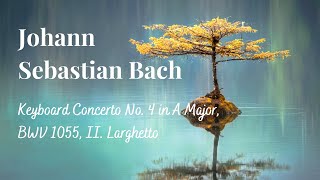 Johann Sebastian Bach - Keyboard Concerto No. 4 in A Major, BWV 1055, II. Larghetto