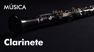 Conhecer um Instrumento da Orquestra Gulbenkian: O Clarinete