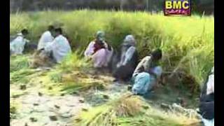 balochi song (Arif Baloch)