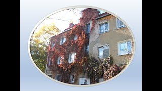 Stadtspaziergang Kaliningrad im Herbst 2019 – Die uliza Soldatowo