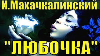 Песня Любочка Игорь Махачкалинский блатняк песни шансон блатные