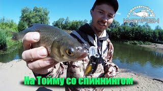 На Тойму со спиннингом. Kamfish