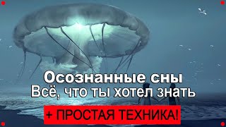 Осознанные сны за 3 минуты: техника для чайников!