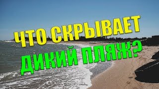 Дикий пляж возле Лоцмана / Красный лиман /  Начало Бердянской косы