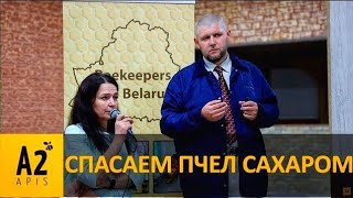 Тёплая зима и аварийная #подкормка пчёл зимой (европейский опыт)