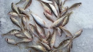 обзор камеры для подводной (подледной) рыбалки.