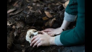 Кукла 2: Брамс - Ужасы 2020