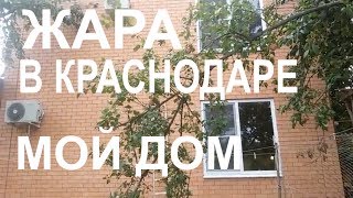 ПОГОДА В КРАСНОДАРЕ. ЖАРА.  Я ПОКАЖУ ВАМ СВОЙ САД, ОГОРОД И ДОМ. ИЮЛЬ 2017Г. ПЕРЕЕЗД В#КРАСНОДАР.
