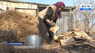 Амурский тигр держит в страхе жителей села Барабаш в Приморье