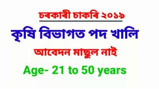 Latest Assam government job 2019//Assam Agriculture University Recruitment  2019