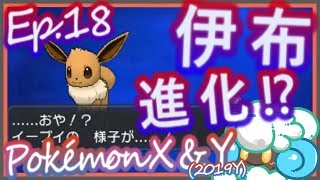 綠紙實況 Nintendo 3DS 精靈寶可夢 X / Y ( Pokémon X/Y )【 12號道路 : 伊布進化 x 拉普拉斯 x 偷羊 ! ( ??? 】(日語版)Ep.18