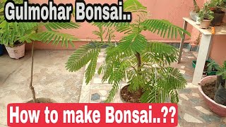 How to make Bonsai - Gulmohar bonsai, How to bend bonsai branches easy & simple