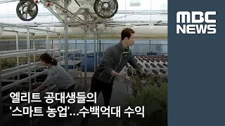 엘리트 공대생들의 '스마트 농업'…수백억대 수익  / MBC