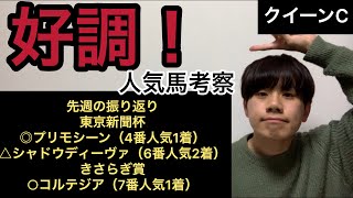 【クイーンC】ルナシオン、ミヤマザクラ、ホウオウピースフル、マジックキャッスル【人気馬考察】