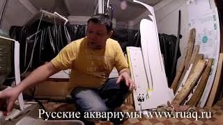 Аулофорус Ч5