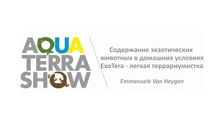 Содержание экзотических животных в домашних условиях. ExoTera - легкая террариумистика