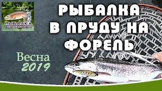 Рыбалка весной 2019 на спиннинг форель в пруду, рыбалка в речке не удалась.