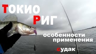 Токио Риг. Как применять? Ловля судака на водохранилище. Классная оснастка! Судак