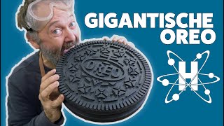 Koterij#133: De gigantische Oreo.